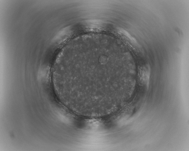 X0000115270511200911271948