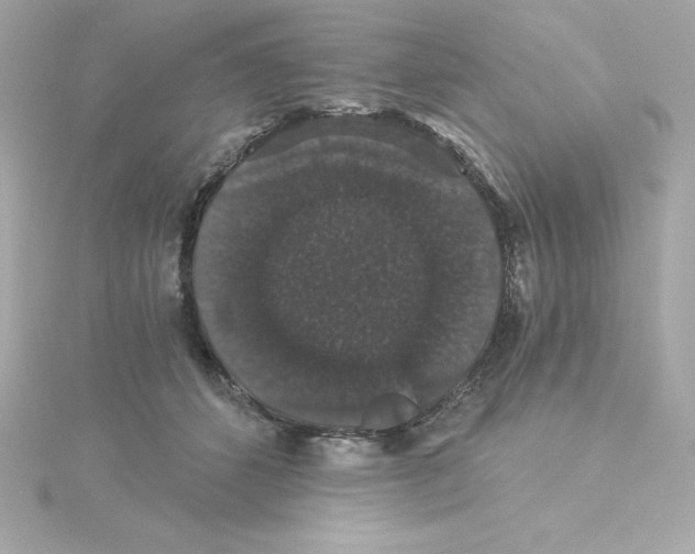 X0000115270512200911271948