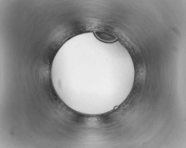 X0000115270513200911271948