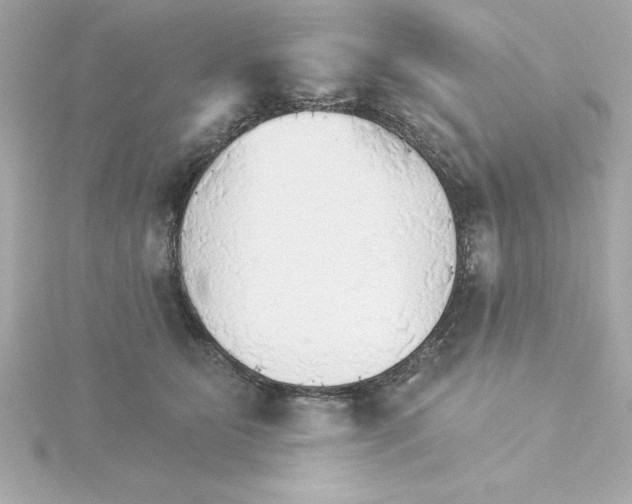 X0000115270515200911271948