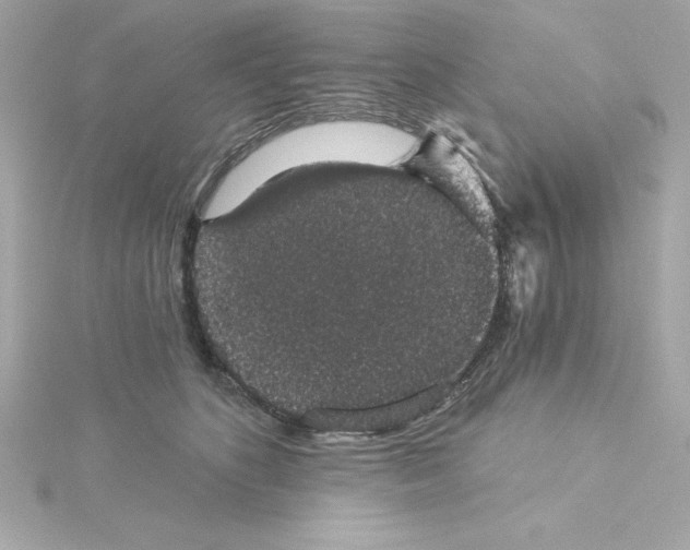 X0000115270516200911271948