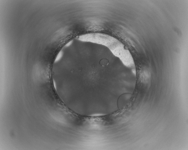 X0000115270517200911271948