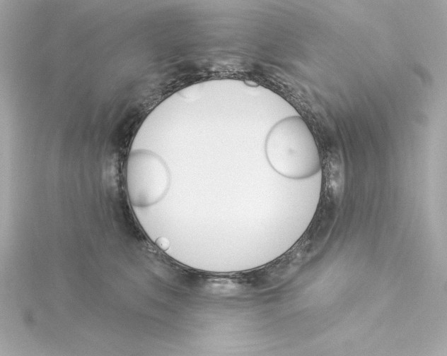 X0000115270519200911271948