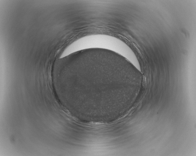 X0000115270520200911271948