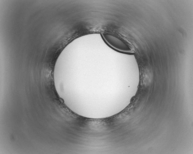 X0000115270521200911271948