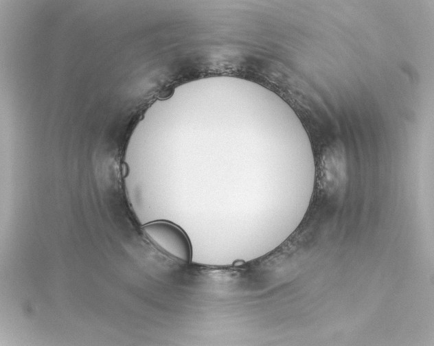 X0000115270522200911271948