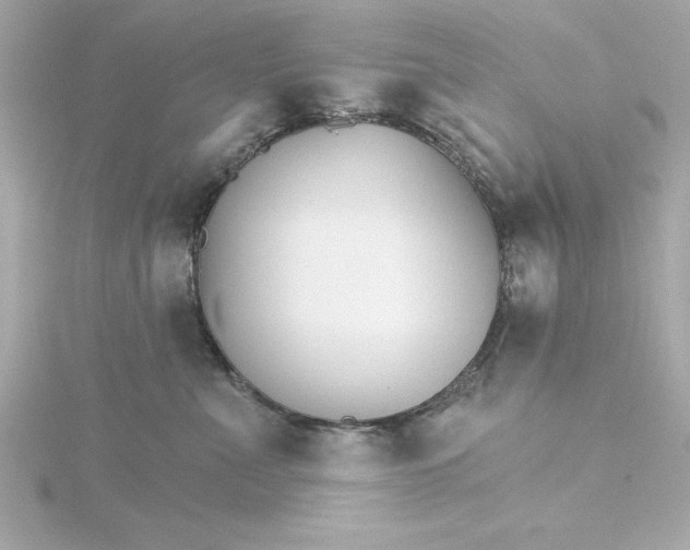 X0000115270523200911271948