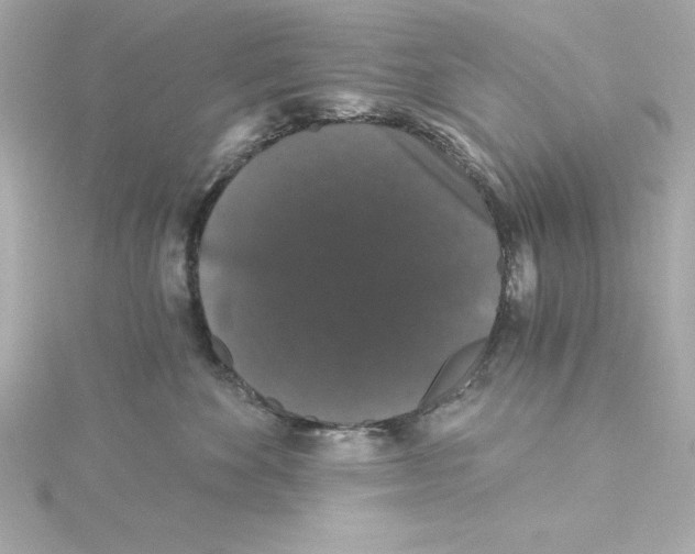 X0000115270524200911271948