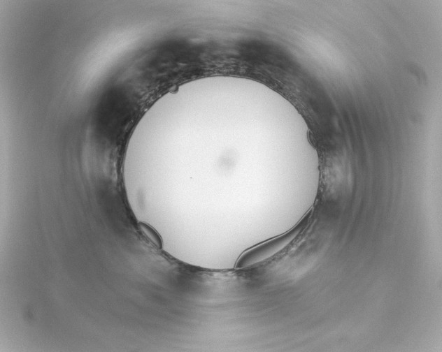 X0000115270525200911271948