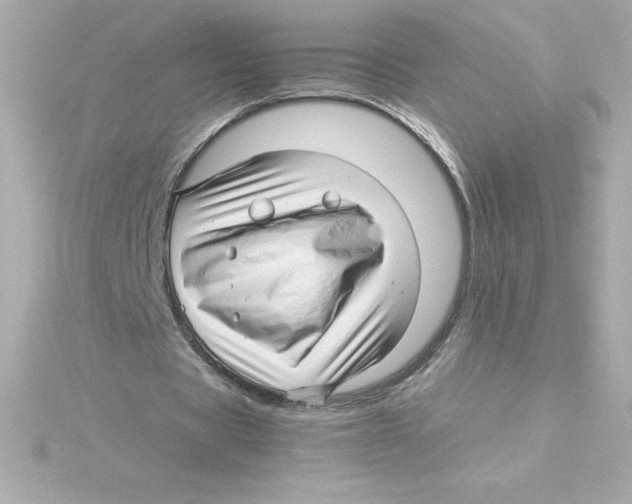 X0000115270529200911271947