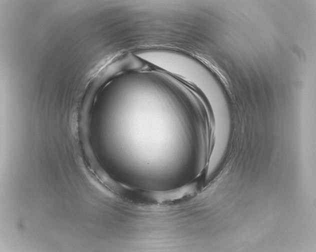 X0000115270533200911271947