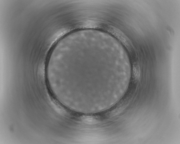 X0000115270534200911271947