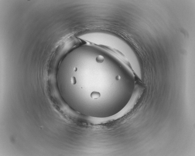 X0000115270539200911271947