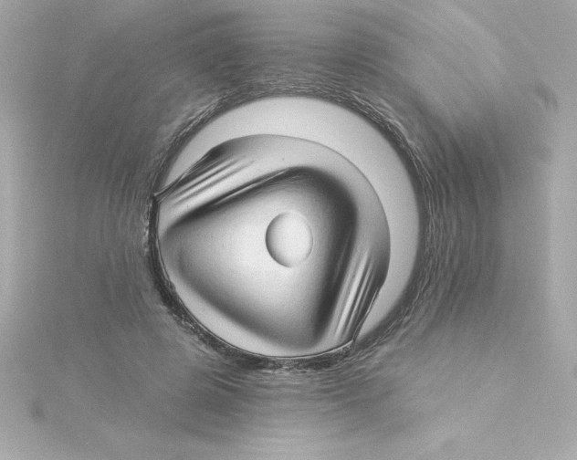 X0000115270545200911271947