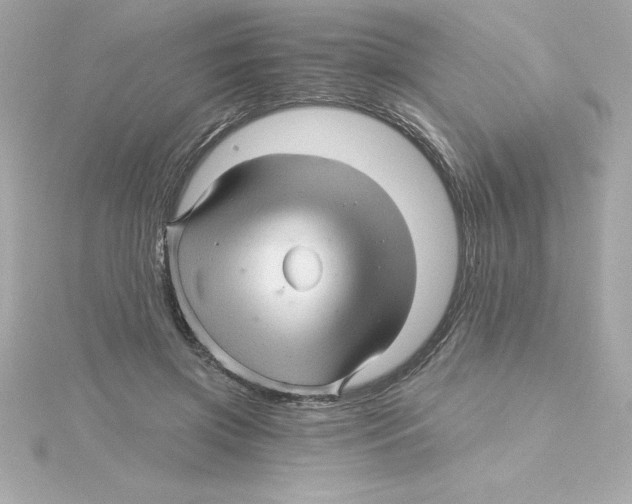 X0000115270549200911271947