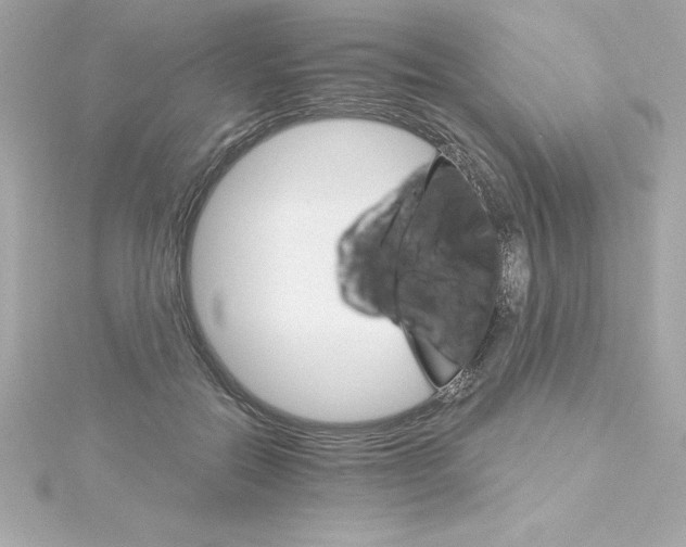 X0000115270554200911271947