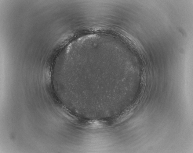 X0000115270558200911271948