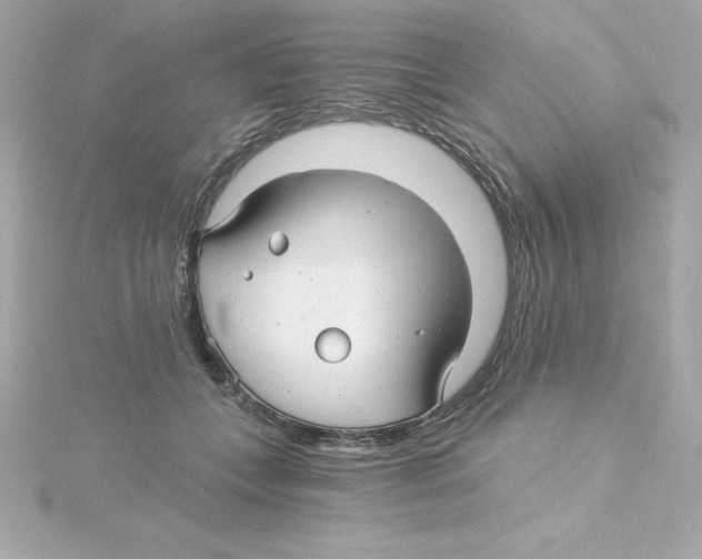 X0000115270559200911271948