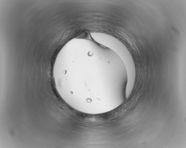 X0000115270561200911271948