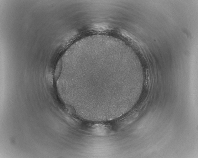 X0000115270562200911271948