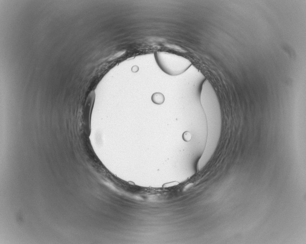 X0000115270563200911271948