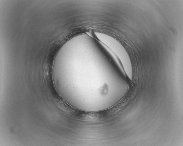 X0000115270567200911271948