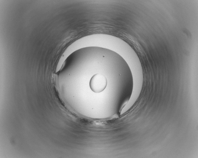 X0000115270573200911271948