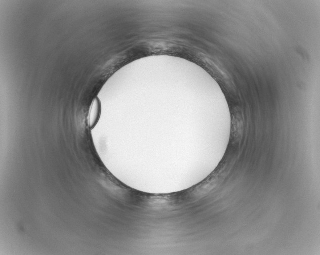 X0000115270574200911271948