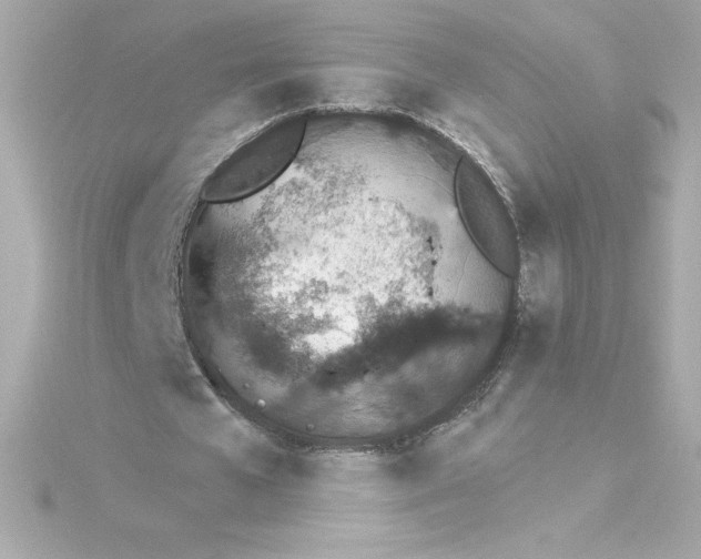 X0000115270577200911271947