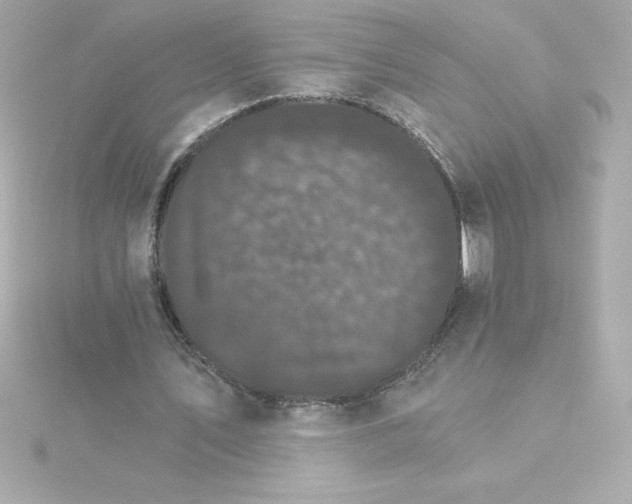 X0000115270579200911271947