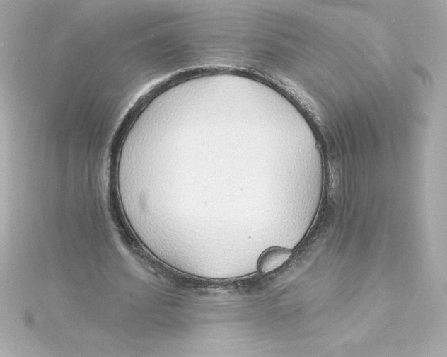 X0000115270580200911271947