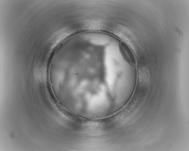 X0000115270581200911271947