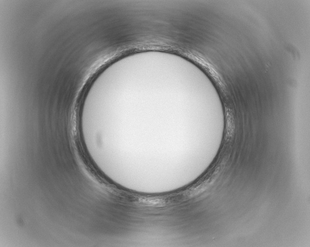 X0000115270582200911271947