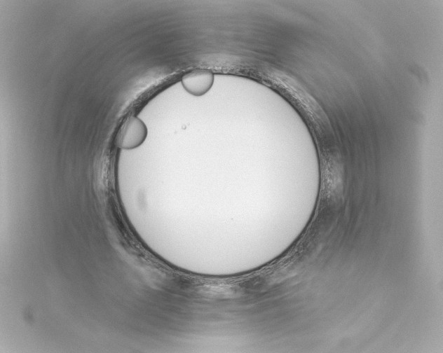 X0000115270583200911271947