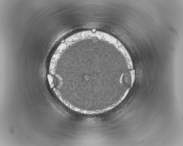 X0000115270584200911271947