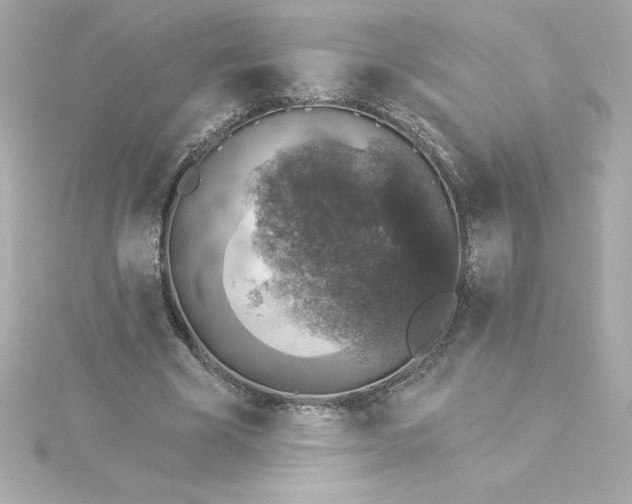 X0000115270585200911271947