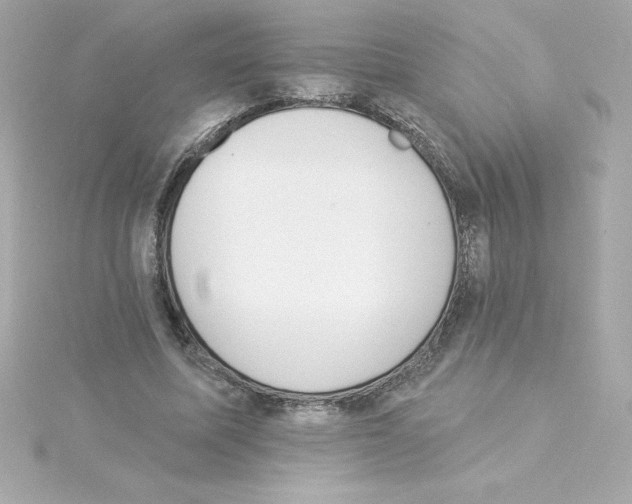 X0000115270587200911271947