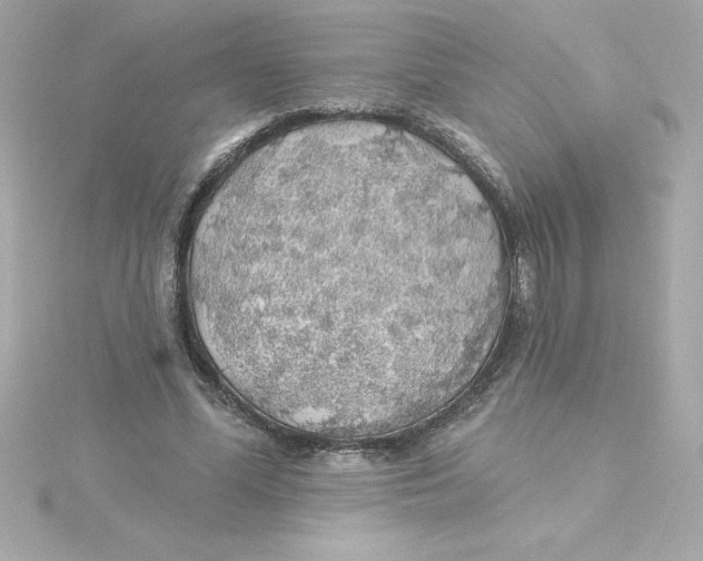 X0000115270588200911271947