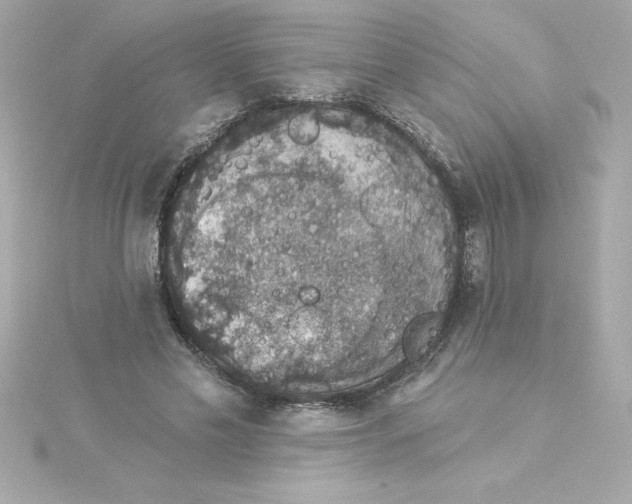 X0000115270589200911271947