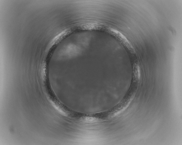 X0000115270590200911271947