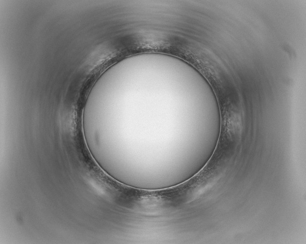 X0000115270591200911271947