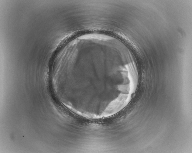 X0000115270592200911271947