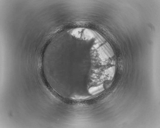 X0000115270593200911271947