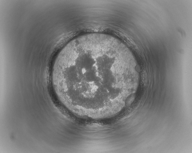 X0000115270594200911271947