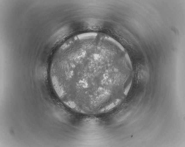 X0000115270595200911271947