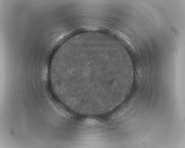 X0000115270596200911271947