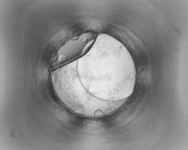 X0000115270597200911271947