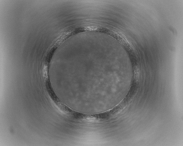 X0000115270598200911271947