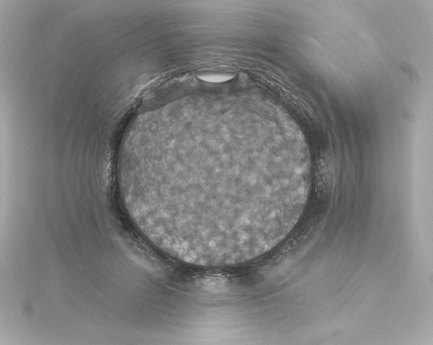 X0000115270600200911271947