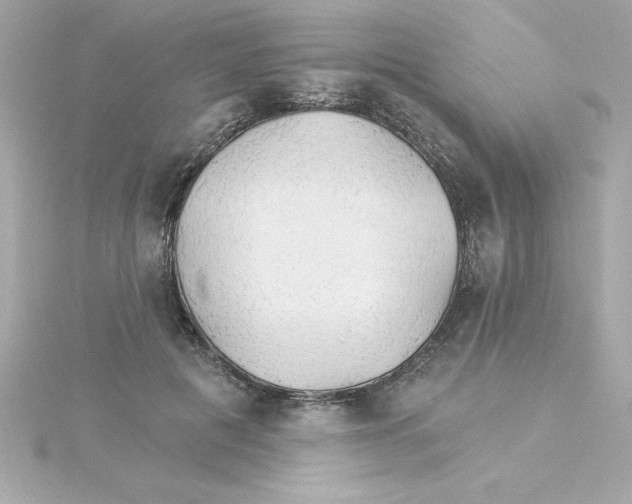 X0000115270601200911271947